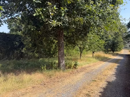 dpt maine et loire (49)  à vendre bauge terrain
