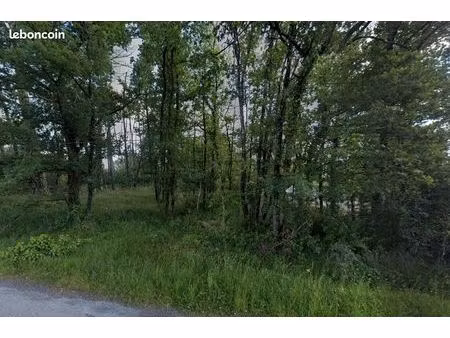 terrain 17390 m² saint michel de riviere