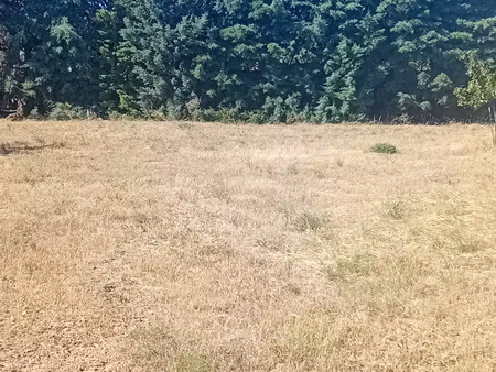 terrain à bâtir