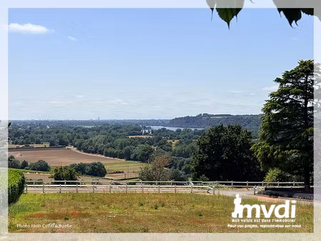 - point de vue epoustouflant -