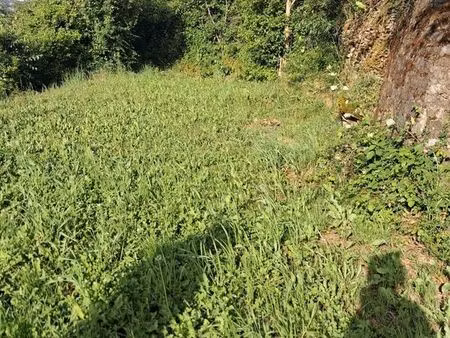 cherche maison en location