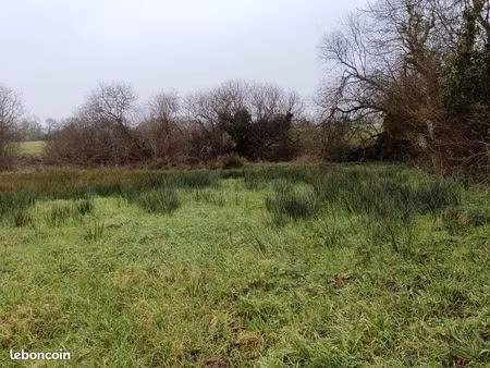 terrain 7800 m² plabennec