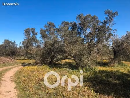 terrain agricole 5 800 m² beaucaire