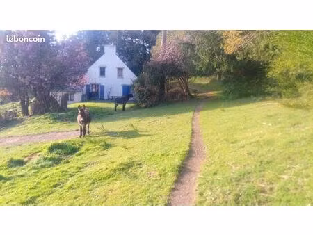 maison plus gîte