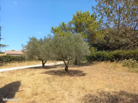 terrain constructible