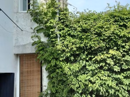 maison sur la couarde