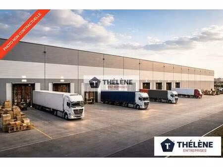 thelene entreprises