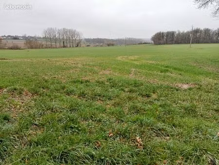 terres agricoles