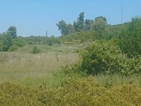 vends terrain agricole et de loisirs à grabels