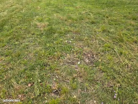 terrain viabilisé libre constructeur