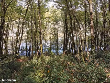 parcelle 2500 m2 forêt et taillis zone naturelle