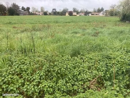 terrain 277 m² libourne