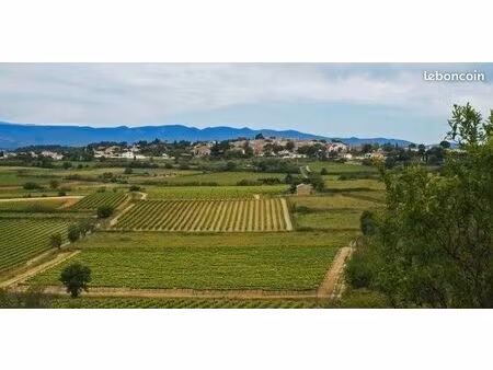 terrain 868 m² pailhes