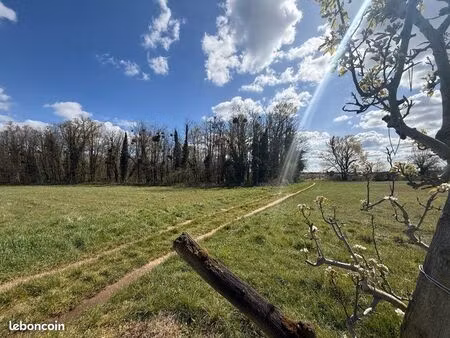 terrain boisé à olivet
