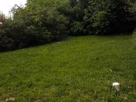 terrain arboré constructible 1000m2