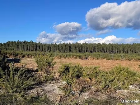 terrain 600 m² mios