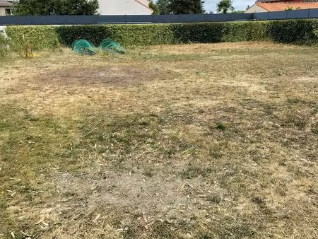 terrain constructible