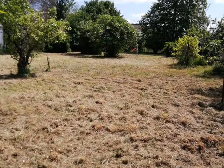 terrain brax