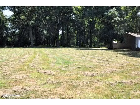terrain 2810 m² rouans