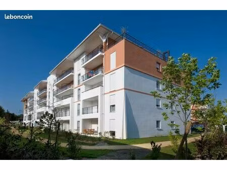 appartement 1 pièce 37 m²