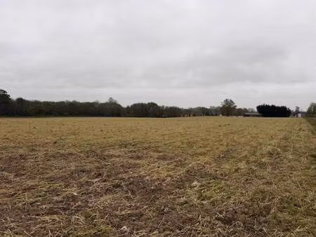 terrain constructible viabilisé à vendre