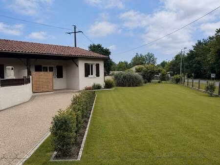 pinzin immobilier