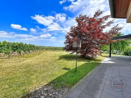 vilaé immobilier