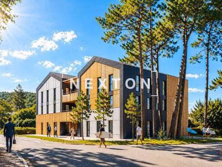 nexton immobilier