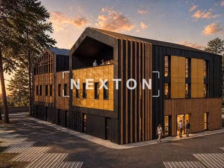 nexton immobilier