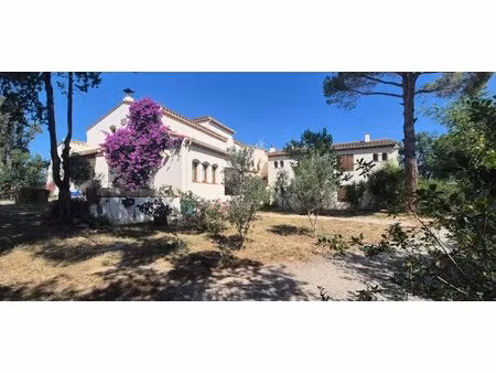 mas avec gîtes et deux maisons