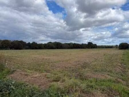 vente terrain à malestroit (56140) : à vendre / 1300m² malestroit