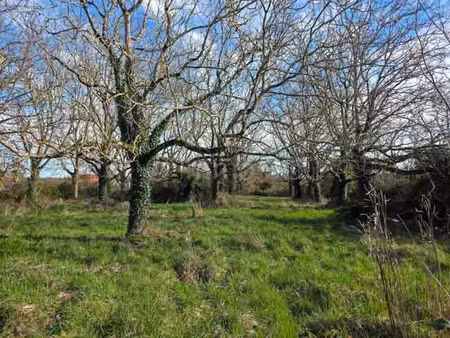 vente terrain 2856 m² à sauzé-vaussais (79190)  18 500 €