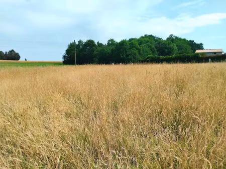 vente terrain 2546 m² à merignac (17210)  24 000 €