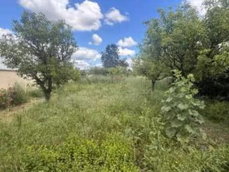 vente maison à angers (49000) : à vendre / 150m² angers