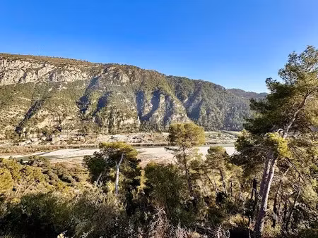 vente terrain 3984 m² à gilette (06830)  75 000 €