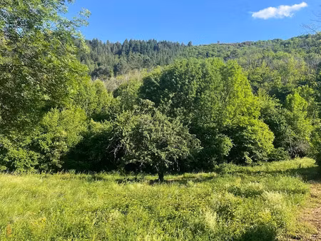 vente terrain à batir 4402 m² à saumane (30125)  80 000 €