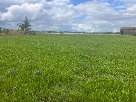 vente terrain 1000 m² à saint-pardon-de-conques (33210)  73 000 €