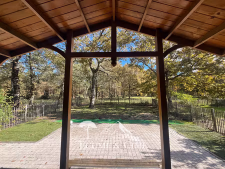 chalet prestige vue forêt