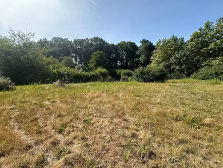 vente terrain à batir 900 m² à saint-vincent-de-tyrosse (40230)  145 000 €