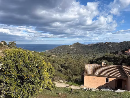 vente terrain 757 m² à monticello (20220)  252 000 €