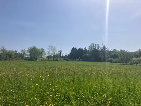 vente terrain 1500 m² à langon (33210)  90 000 €