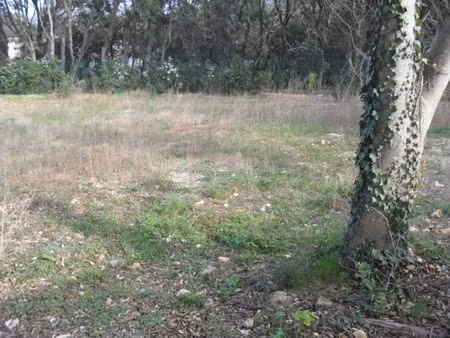 vente terrain 470 m² à caissargues (30132)  118 000 €