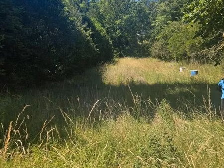 grand terrain champagne sur oise