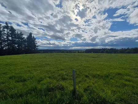 vente terrain 1585 m² à saint-genest-malifaux (42660)  160 000 €