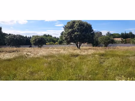 vente terrain 1173 m² à violès (84150)  164 900 €