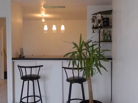 t2 40m2 coeur de doutre angers