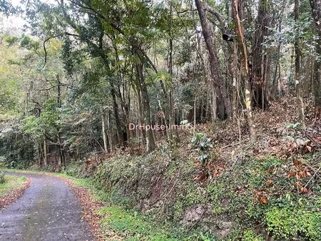 terrain boisé à deux pas de la rivière à birloton