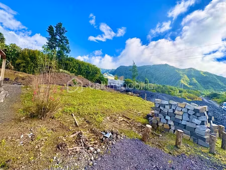 vente terrain 10000 m² à la plaine des palmistes (97431)  537 000 €