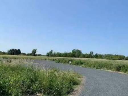 vente terrain à grues (85580) : à vendre / grues