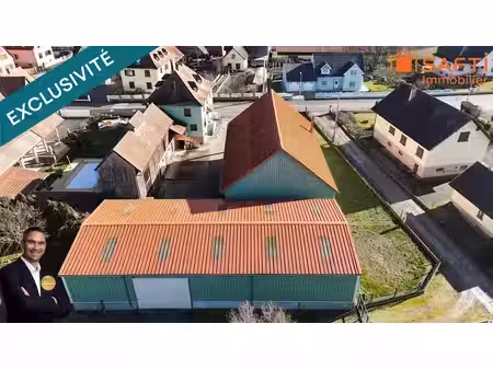 vente parking 287 m² à selestat (67600)  199 000 €